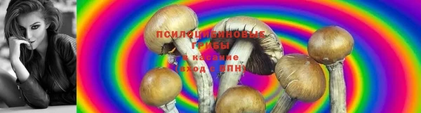 ГАЛЛЮЦИНОГЕННЫЕ ГРИБЫ Алексин
