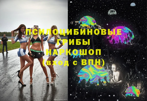 СК Алексеевка