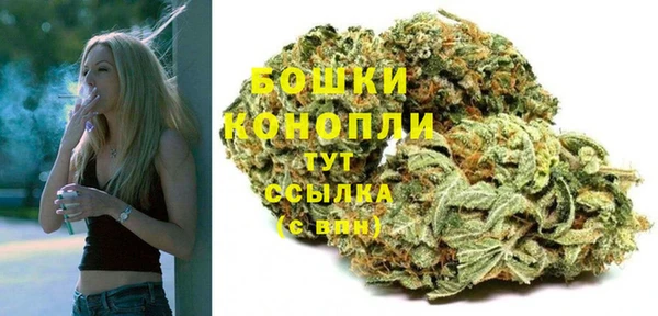 сатива Пролетарск