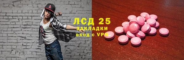 ГАЛЛЮЦИНОГЕННЫЕ ГРИБЫ Алексин
