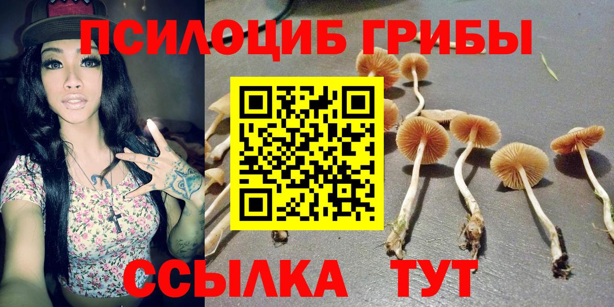 Бахчисарай  Псилоцибиновые грибы GOLDEN TEACHER  Вход с VPN  Псилоцибиновые грибы прущие грибы 